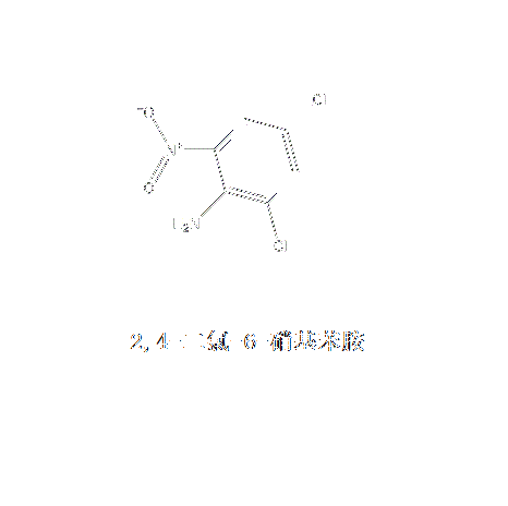 2,4-二氯-6-硝基苯胺