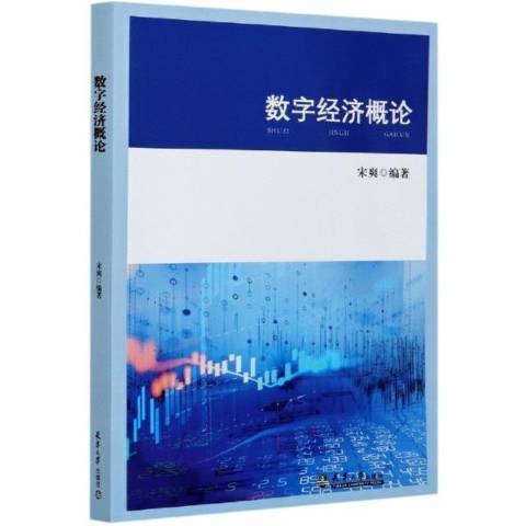 數字經濟概論(2021年天津大學出版社出版的圖書)