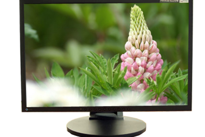 Eizo FlexScan S2231W