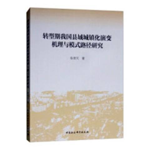 轉型期我國縣域城鎮化演變機理與模式路徑研究(2018年中國社會科學出版社出版的圖書)