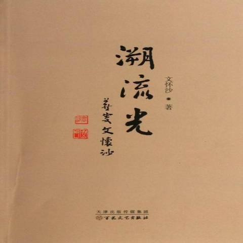 溯流光(2013年百花文藝出版社出版的圖書)