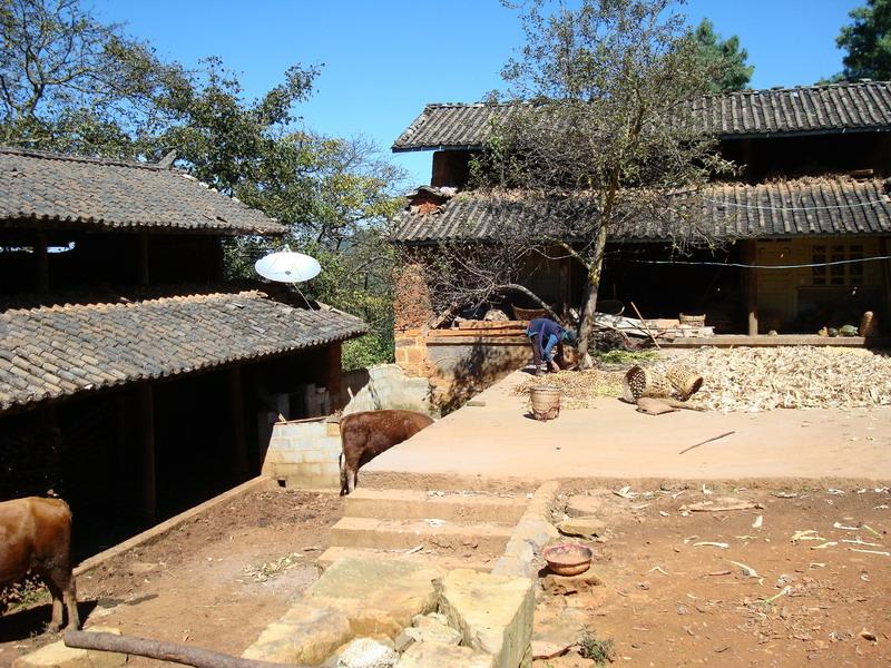 麥田阱村