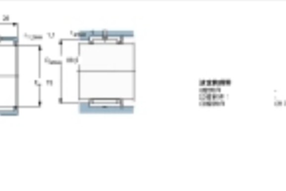 SKF NKS75軸承