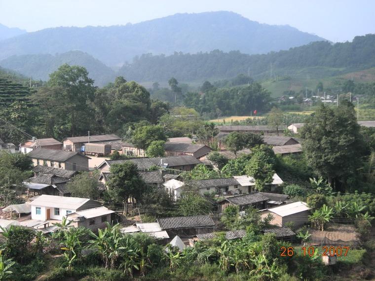 茶隊村