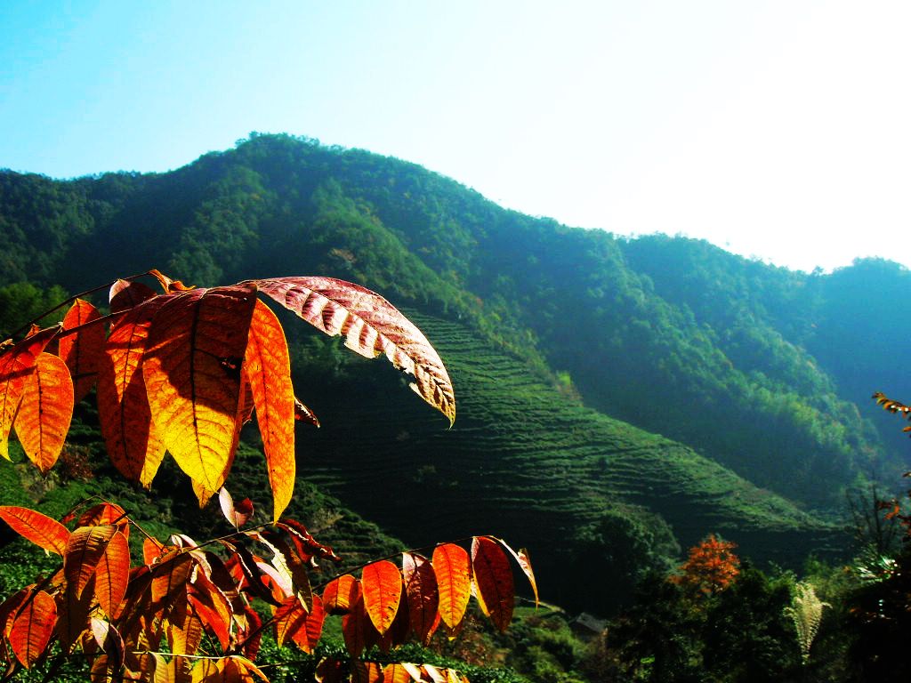 秦望山景色