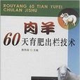 肉羊60天育肥出欄技術