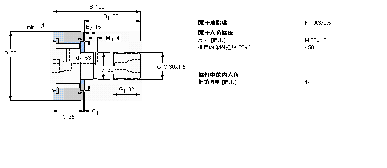 SKF KRV80PPA軸承