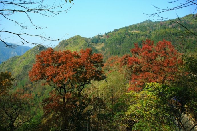 蘭商山道