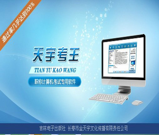 天宇考王Excel2003高級完整版