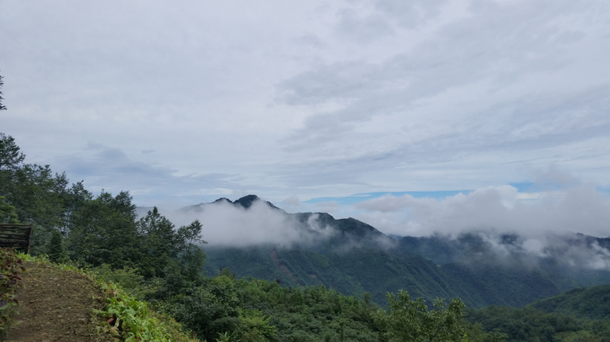 明月池