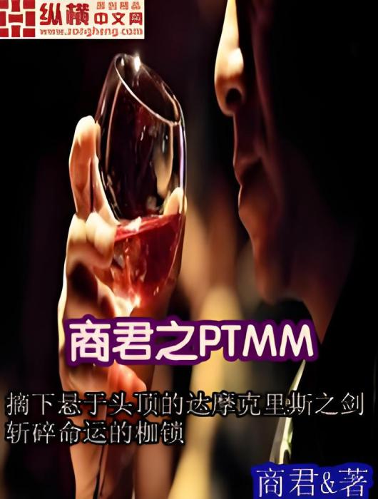 商君之PTMM