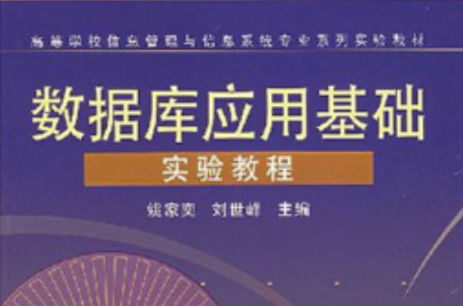 高等學校信息管理與信息系統專業系列實驗教材：資料庫套用基礎實驗教程