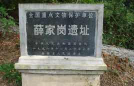 薛家崗遺址