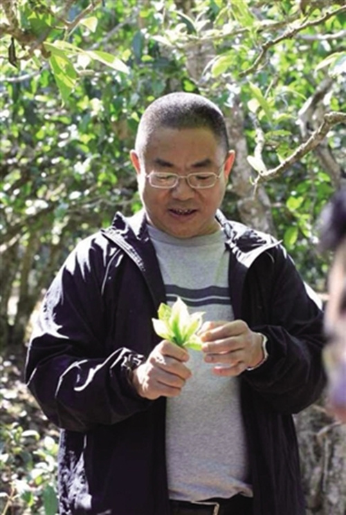 楊世華(中吉號茶業有限公司董事長)