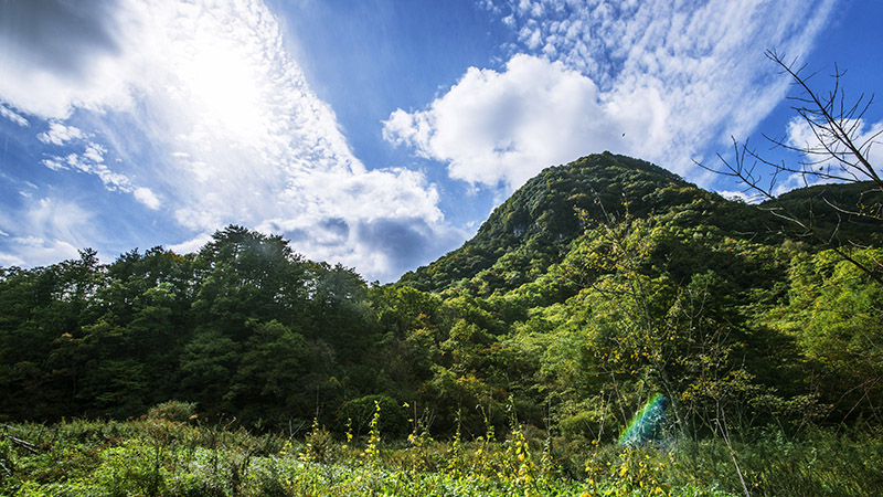 陝西米倉山國家級自然保護區