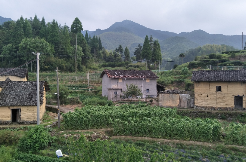 富村(福建省政和縣澄源鄉富村農場)