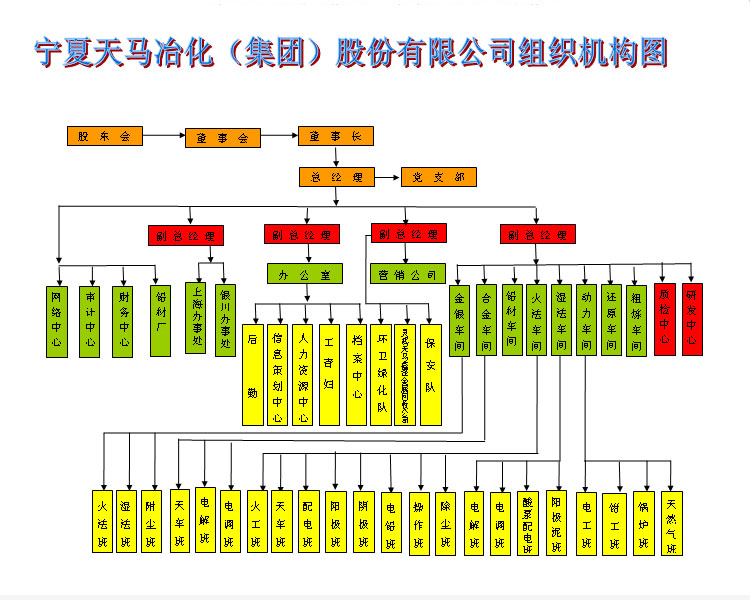 寧夏天馬冶化（集團）股份有限公司