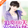 追愛999天：安少請入懷