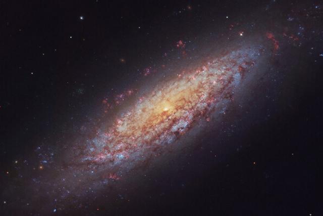 ngc 6503