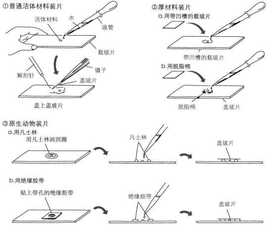 光學技巧印片