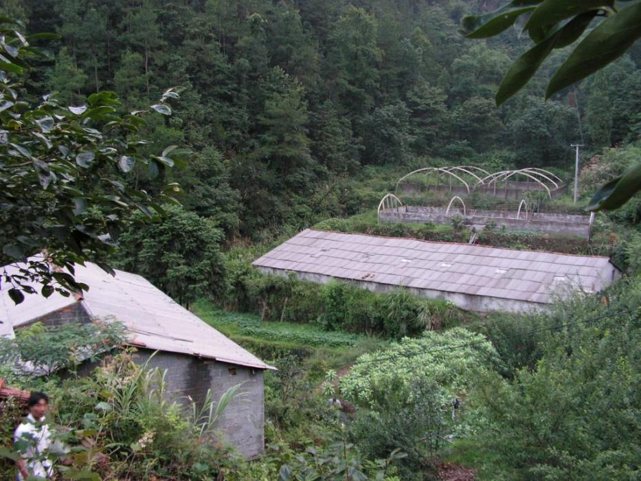 麻坪塢自然村