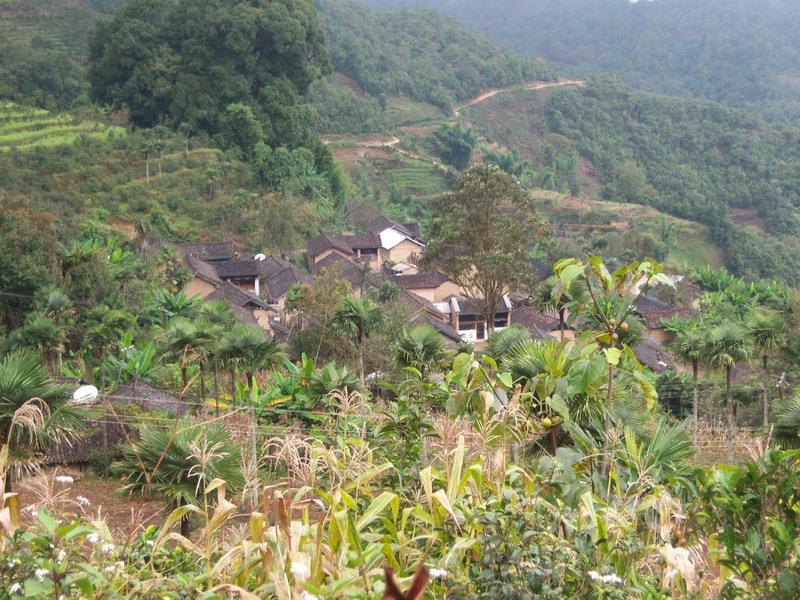 何家自然村(雲南省鳳慶縣三岔河鎮下轄村)