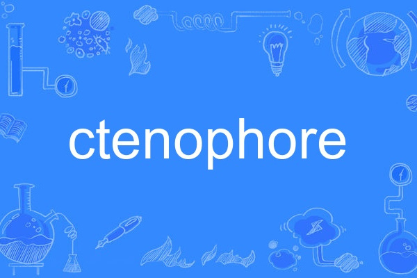 ctenophore