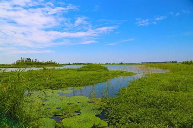 安徽迪溝國家濕地公園