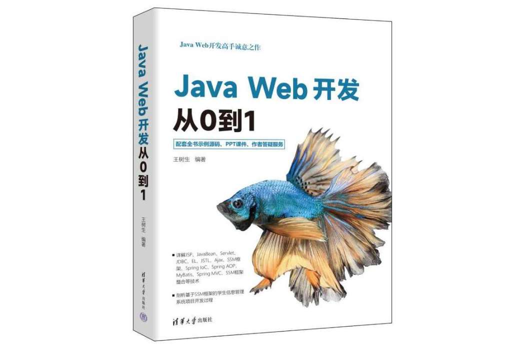 Java Web開發從0到1