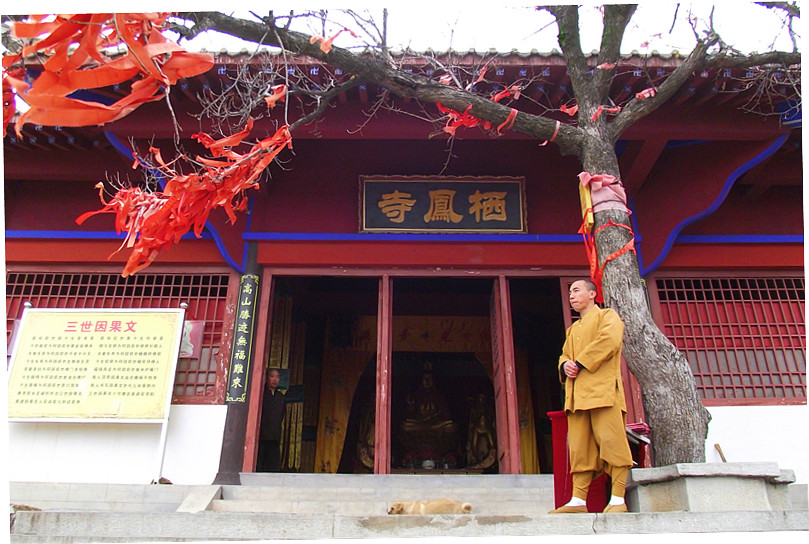 棲鳳寺