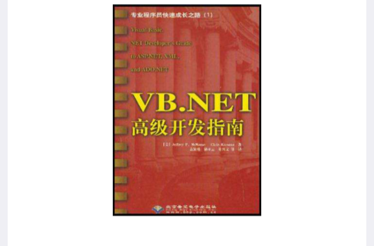 VB.NET高級開發指南