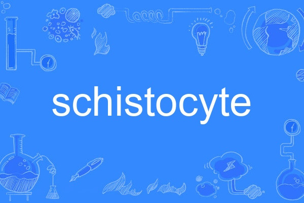 schistocyte