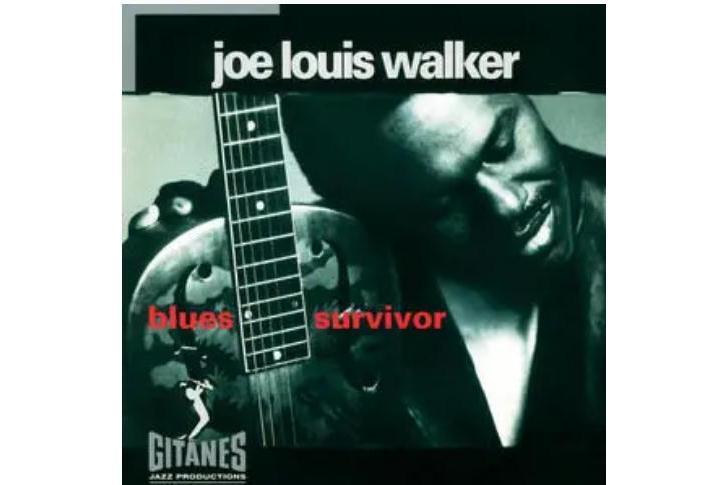 Help Yourself(Joe Louis Walker演唱的歌曲)