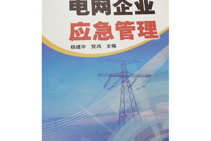 市級電網企業應急管理