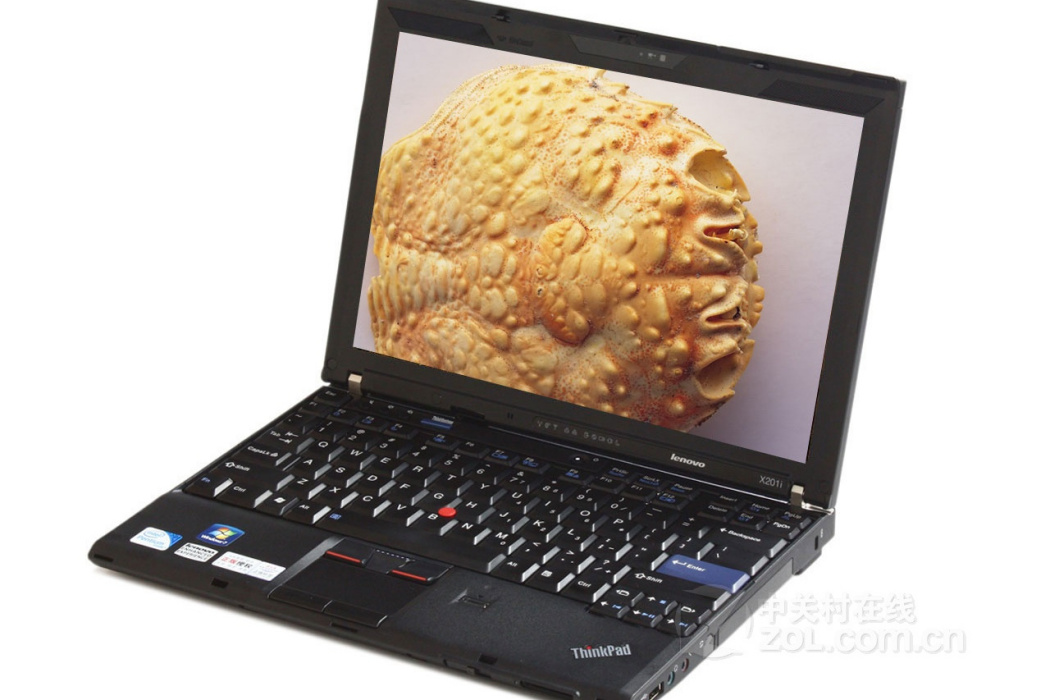 ThinkPad X201i(3626K13)