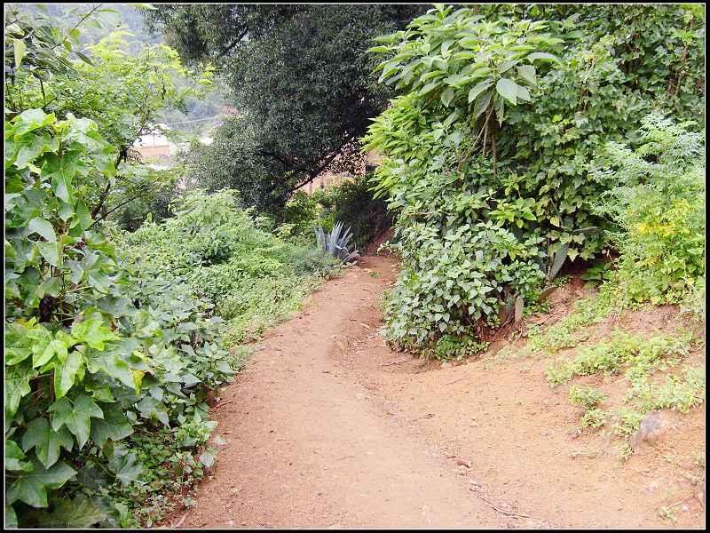 德苴沙河村