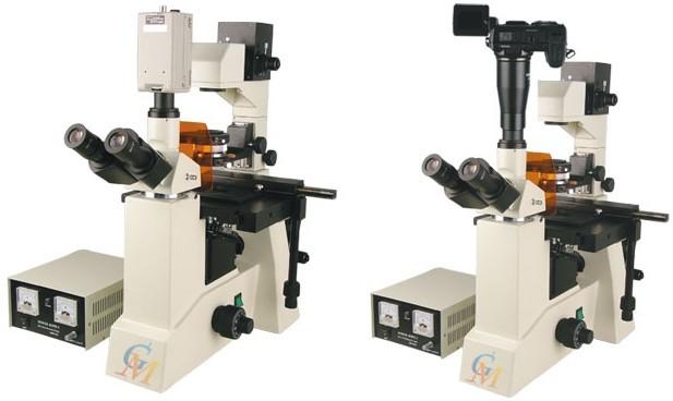 DSY5000X型倒置螢光顯微鏡