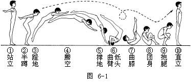 魚躍前滾翻