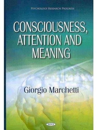 Consciousness, Attention and Meaning