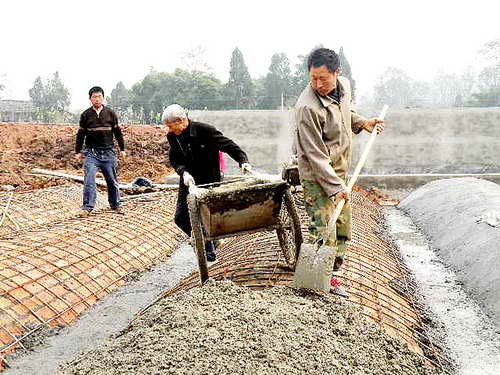 金鶴鄉近況