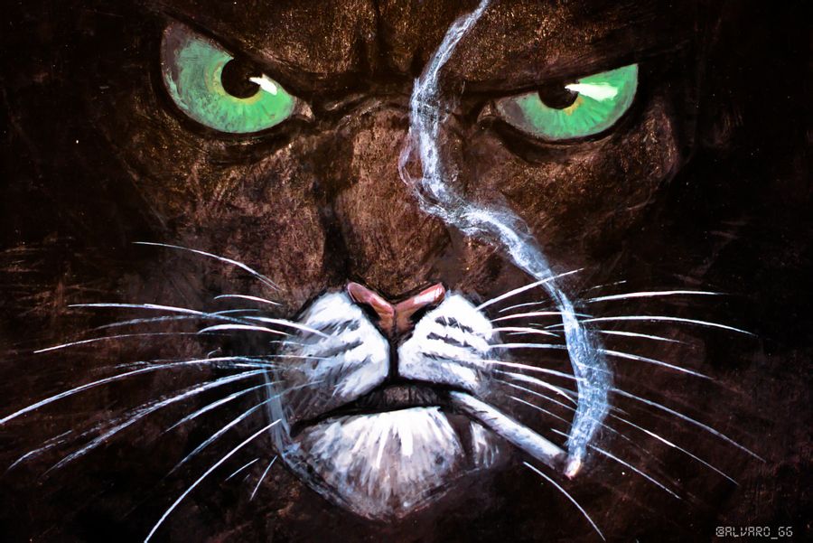 blacksad