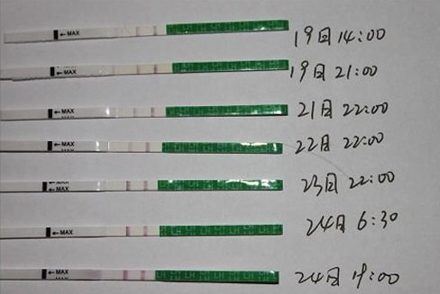 排卵試紙弱陽