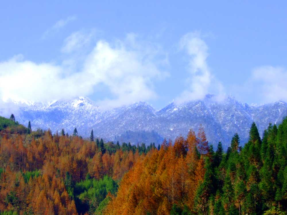 成都第一高峰苗基嶺