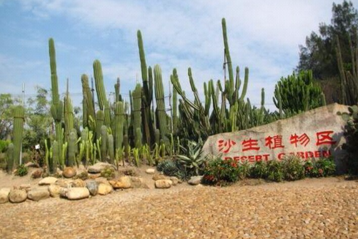 沙生植物園