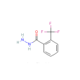 2-（三氟甲基）苯甲酸醯肼