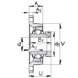 FAG RCJT1-1/2軸承