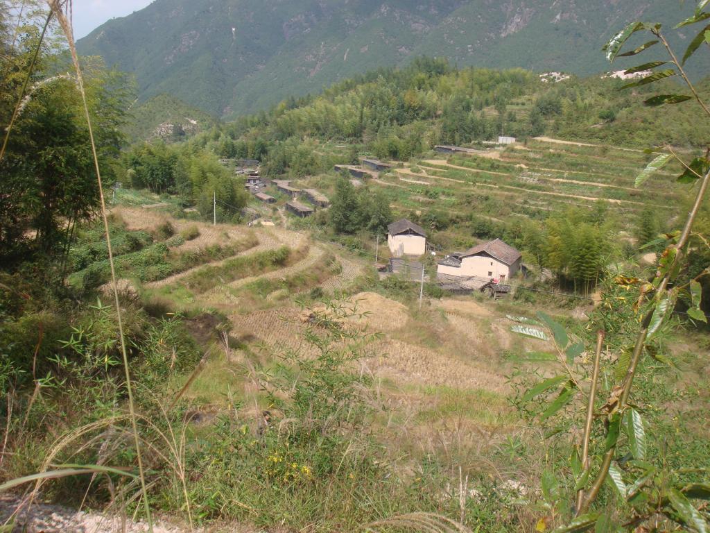 黃洋村(福建省龍巖市曹溪鎮黃洋村)