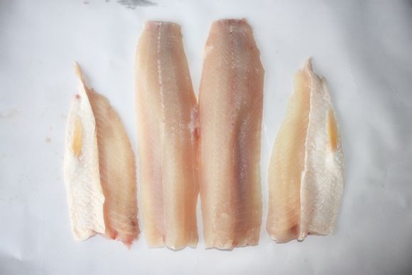 金草魚魚片樣板