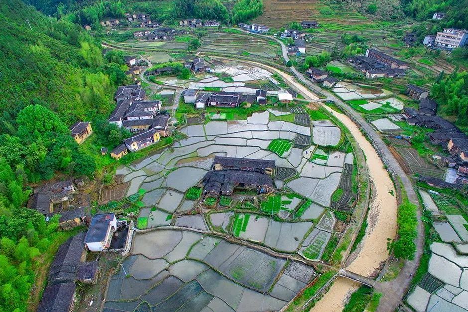 洋田村(廣東省廣州市黃埔區新龍鎮洋田村)