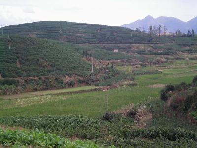 岙里村